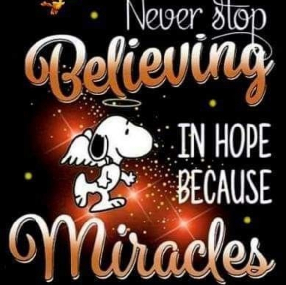 50% all categories - Picture 6 of 8